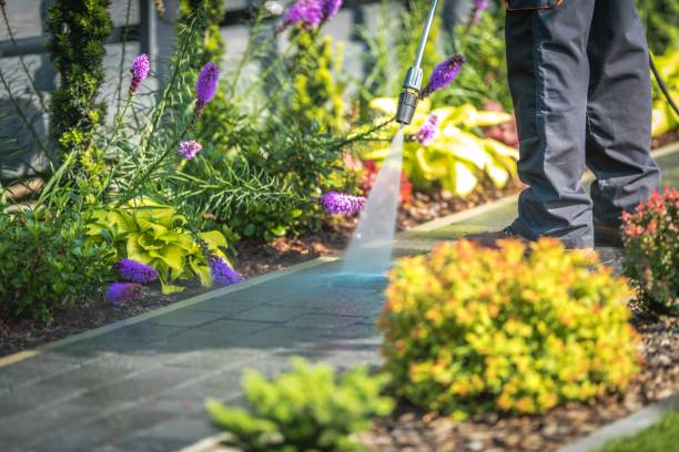  Mechanicsville, MD Pressure Washing Pros